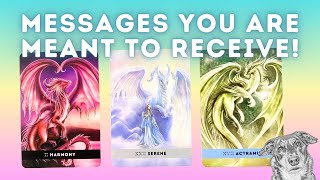 Messages Your Energy Has Guided You to Receive 💕🐕 Pick a Card 🎴♥️ Timeless Tarot Card Reading ❤️ [upl. by Enal]