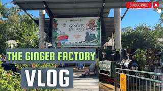 The Ginger Factory Sunshine Coast Australia  The Ginger factory Train ride Ginger factory Boat ride [upl. by Lotti]