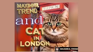 Cat in London [upl. by Assili]