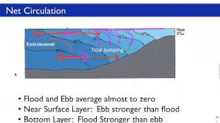 Estuary Classification [upl. by Normalie]