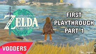 Zelda Tears Of The Kingdom Playthrough Part 1  May 12 2023 [upl. by Goldstein]