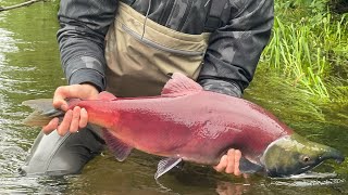 Fishing Yakutat Alaska 2021 [upl. by Annahgiel]