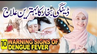 dengue fever symptoms urdu  infection free zone  dengue mosquito sound  dengue fever treatment [upl. by Zaid245]