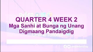 Mga Sanhi at Bunga ng Unang Digmaang Pandaigdig Part2  Grade 8 Araling Panlipunan Quarter 4 Week 2 [upl. by Alitta]