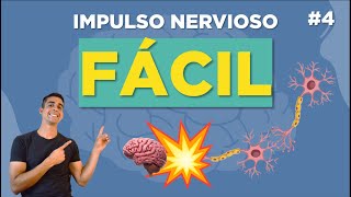 TRANSMISIÓN del IMPULSO NERVIOSO ▶▶💥 y SINAPSIS explicaCIÓN FÁCIL [upl. by Notsob]