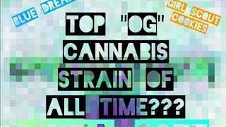 TOP quotOGquot CANNABIS STRAIN of ALL TIME LWTA 0075 🎯 LETS DEBATE LetGrassGrow CodeNameLWTA [upl. by Nanreit47]