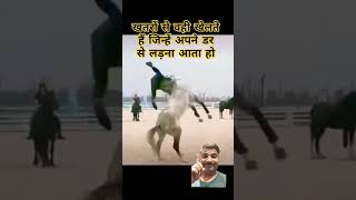 मोहब्बत की राजस्थान एक कमाल देखो घोड़े janwar wedimag viral video trending RinkuPandeyiu3ip [upl. by Euqenimod734]