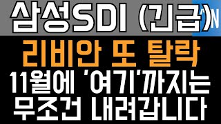 삼성SDI 주가전망  긴급 리비안 또 탈락 11월에 여기까지는 무조건 내려갑니다 [upl. by Shana]