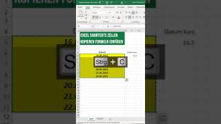 Excel Shortcuts  0013  Zellen kopieren und NUR Formeln einfügen Shorts [upl. by Cioffred908]