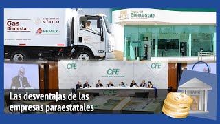 Empresas paraestatales [upl. by Enelyaj]