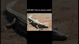 SCP682 quotHard to destroy reptilequot short scpfundation [upl. by Lally]