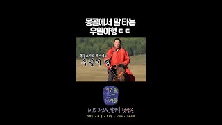 지구를 닦는 남자들 어머니 우일이가 너무 잘해요 말타기를요🐎 MBC 241015 방송 [upl. by Suirtemed909]