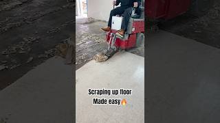 Demoing Old Flooring diy construction satisfying [upl. by Ainoyek]