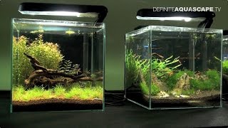 Little Big World of Aquarium  Planted nanoaquariums pt4 [upl. by Nuri301]