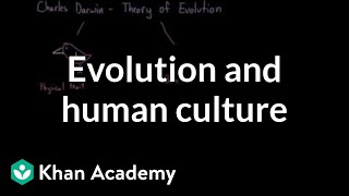 Evolution and human culture  Society and Culture  MCAT  Khan Academy [upl. by Huntley891]