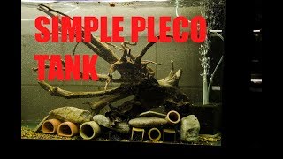 How to set up a basic Pleco breeding tank Hypancistrus Breeding [upl. by Itida]