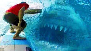 Top 10 Real Megalodon Sightings We Can No Longer Deny [upl. by Atsocal530]