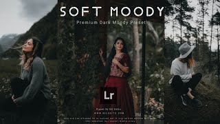 Soft Moody Preset  Lightroom Mobile Premium Moody Preset  Dawnload free DNG [upl. by Anirrehs]