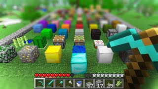 I Collected Every Block in Beta Minecraft [upl. by Greenwald]