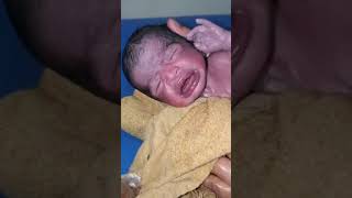 New Born Came with lot of Blood clots vernix Remove Baby is so small looking cool [upl. by Acirea]