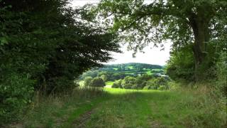 Wandelen in de Belgische Ardennen [upl. by Nelag]