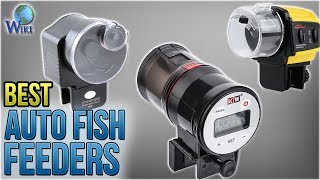 10 Best Auto Fish Feeders 2018 [upl. by Persson46]