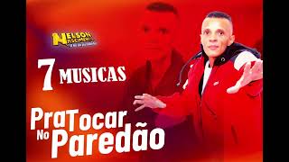 Nelson Nascimento O Rei da pisadinha 7 Musicas Pra Tocar no Paredão [upl. by Almeria]