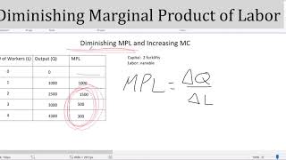 The Law or Principle Of Diminishing Marginal Returns or Productivity Explained in One Minute [upl. by Dira487]