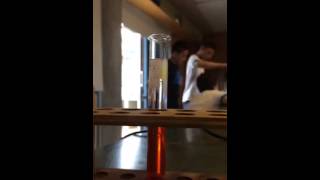 Strawberry DNA extraction [upl. by Mlohsihc]