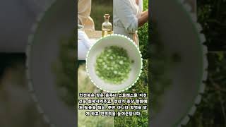 🌿 인진쑥 이렇게 먹으면 효과 UP 💯 🌿 How to Maximize Artemisia Capillaris Benefits 💯 [upl. by Myrlene]