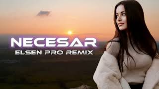 Necesar Remix Elsen Pro [upl. by Elocyn]