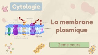 Les organites de la cellule animale et végétale et leurs fonctions [upl. by Kanter]