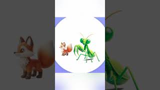 FoxMantis which animal is it became😮animashgame animash epicgaming games [upl. by Noillid719]