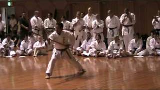 Kata TOKUMINE NO KON  Demonstration at Okinawa World Karatedo Tournament 2009 [upl. by Alanson299]