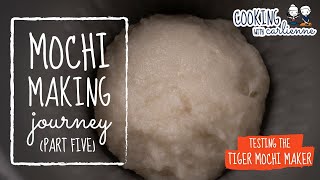 Making Mochi with the Tiger Mochi Maker Machine  Mochi Making Journey Part 5 [upl. by Sheets832]