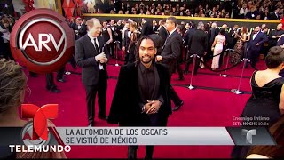 México reinó en la alfombra roja de los Premios Oscar  Al Rojo Vivo  Telemundo [upl. by Eytak]