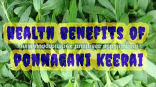 Ponnanganni Keerai Health Benefits [upl. by Calderon465]