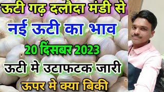 दलोदा मंडी आज का नई लहसुन का भाव 20 दिसंबर 2023 new ooty garlic rate today daloda new lahsun bhav [upl. by Aek]