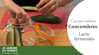 Comment conserver les concombres façon lactofermentation [upl. by Rhys403]