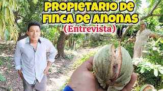 CULTIVO DE ANONAS EN LA FINCA DE DON DANIEL MIRANDA [upl. by Ydoj]