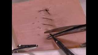 How to Perform a Simple Running Skin Closure suture travel on top [upl. by Francklin]