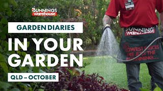 Gardening in October  Queensland  Bunnings Garden Diary [upl. by Konstantin]