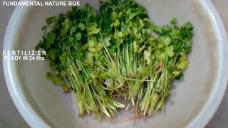 फ़र्टिलाइज़र तैयार करे 24 घंटो में Tonic for Plants Make organic Fertilizer in 24 Hrs [upl. by Nohsyar166]