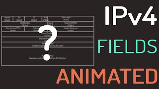 The IPv4 Header Fields Explained [upl. by Haissem]