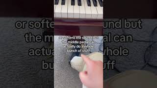 Pedal tutorials piano jazz tutorial music fyp viral [upl. by Aihsaei]