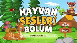 Hayvan Seslerini Tanıyalım 🐔🐶 Eğitici Çocuk Şarkısı [upl. by Brucie168]