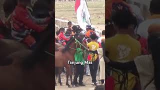 Tanjung Mas pacuankudaindonesia kudapacu racinghorse kuda [upl. by Hild]