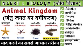 Animal Kingdom  जन्तु जगत का वर्गीकरण  Biology  Study vines official [upl. by Hgiellek70]