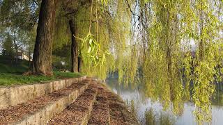 Ljubljanica River Slovenia  4K Virtual Travel [upl. by Demetris721]