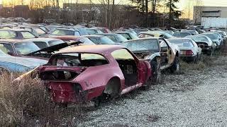 Chevrolet amp Pontiac Muscle Car Hoard [upl. by Eanehs]